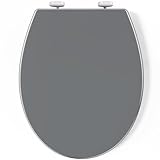 Pipishell Toilettendeckel, WC Sitz mit Absenkautomatik, Quick-Release Funktion für einfach Reinigung, O Form Weiß Toilettensitz mit Verstellbaren Scharnieren, Kunststoffversion (Grau)