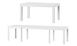 MPS groß praktisch Tisch WENUS 160-300x90x76cm Weiß Matt 4-12 Personen Esstisch mit ausziehbarer Tischplatte auf 300 cm