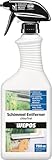 Wepos Schimmel Entferner Chlorfrei 750 ml | Vernichtet kraftvoll und nachhaltig jeden Schimmel | Beseitigt dauerhaft | wirkt bleichend und desinfizierend | Sofortwirkend | reicht für 10-15m²