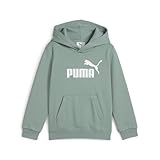 PUMA Unisex-Kinder ESS No. 1 Logo Hoodie FL PS Kapuzenpullis, Green Moon, 110