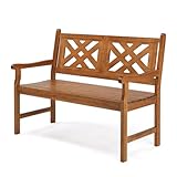 LEADZM Gartenbank wetterfest, holzbank Outdoor, 2-Sitzer, 118 cm,Ergonomisch gestaltete Rückenlehne und Armlehnen, 275 kg Belastbar,für Balkon,Terrasse,Garten