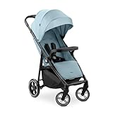 hauck Kinderbuggy mit Snack Ablage & Becherhalter, Shop N Care Dusty Blue