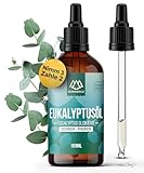 NORDHOLZ® Eukalyptusöl [100% naturrein] Frisch & belebend - Ätherisches Öl in Pharmaqualität aus Wasserdampfdestillation - Vegan, Laborgeprüft – Für Sauna, Diffusor & Aromatherapie