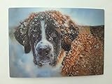 Schöning 3 D Ansichtskarte Bernhardiner im Schnee, Postkarte Wackelkarte Hologrammkarte Tiere Hund