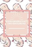 SCHWANGERSCHAFT UND ERNÄHRUNG: Bewusste Ernährung in der Schwangerschaft, Etappen und Tipps, die Sie nicht verpassen sollten!