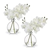 2 pcs Künstliche Orchideen weiß mit Glasvase, Kunstpflanze Decor Orchideen Kunstblumen im vase mit Real Touch Blüten, Gefälschte Orchideen künstliche Bonsai für Hotel Wohnzimmer Büro Küche