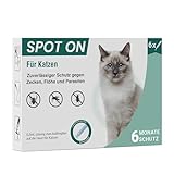 Animal Vita® Spot On Zeckenschutz für Katzen [6 Monate zuverlässiger Zeckenschutz] Zeckenmittel für Katzen -Zeckenschutz Katze - Spot On für Katzen