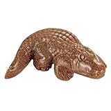 Bosfante Brauner Goldstein Krokodil