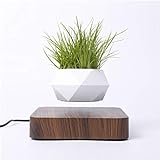 Kiko-ershaa Levitating Plant Pot Floating Air Bonsai Pot Suspension Flower Pot Planter for Desk Decoration