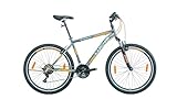 LUCHS 'Kaku & Titan Mountainbike, MTB Jungen und Herrenfahrrad Vielseitiges Fahrrad mit 24', 26', 27.5' oder 29' und Federgabel (Silber/Orange, 24' Zoll (V-Brake))