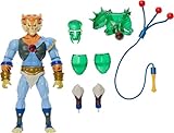 Masters of the Universe Origins & Thundercats ca. 14 cm große, bewegliche Actionfigur Tygra, 1980er Crossover-Spielzeug, abnehmbare Rüstung, Bolo-Zubehör und Mini-Comic, JFW96