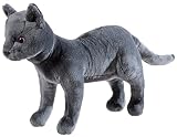Schule der Magischen Tiere Katze GRS/PET Karajan, Grau