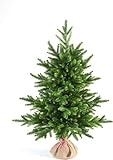 eveXmas 95cm Künstlicher Weihnachtsbaum, Tannenbaum Infinity Klassik Grün, 143 Zweige 100% PE-Spitzen, inklusive ständer sackleinen