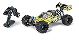 Carson 500202020-1:8 King of Dirt RC Buggy - RTR ferngesteuertes Auto V25 GP, bis 70 kmh schnell, RC Auto mit Fernbedienung (2,4 GHz), für Erwachsene und Kinder ab 14 Jahre, gelb