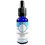 Andenopal blau Edelstein Essenz 50ml alkoholfrei mit Anleitung + Täschchen