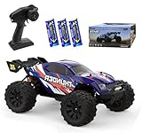 Ledovan 100KM/H Ferngesteuertes Auto Bürstenloser Motor, 1:14 Hochgeschwindigkeits RC Monstertruck Off-Road für Erwachsene, 4WD All Terrain RC Auto, 3 Batterien(Blau)