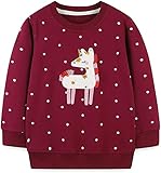 MUJOQE Kinder Mädchen Sweatshirt Pullover Langarm Baumwolle Einhorn Winter Oberteile 5 Jahre 110