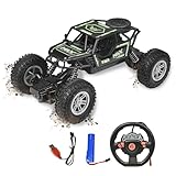 Ferngesteuertes Auto Kinderspielzeug RC Offroad Car mit Fernbedienung, Schnelle Fahrzeuge Spielzeug Spiele, Geburtstag Geschenke Jungen Mädchen