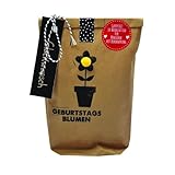 Wunderle WUN0212 Geburtstagsblumen-Handtasche, Braun, Unisex, Eimerförmig, Floral, Blumensaat zum Selbstpflanzen, für Geburtstag, Gartenfreunde, Geschenk