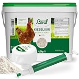 HÜHNER Land Kieselgur für Hühner 4,2kg INKLUSIVE Profi Zerstäuber - Reines Kieselgur Hühner Pulver, Kieselerde Pulver, Naturprodukt für Hühnerstall, Laborgeprüft für Geflügel Betriebe