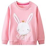 Baogaier Mädchen Sweatshirt Pullover Baumwolle Leichtgewicht Sport Jumper Langarmshirt Rosa Kaninchen Pelzig Tierdruck Kinder Baby Kleidung Langarm Ostern Geschenke Tops 2-3 Jahre, Gr.92-98