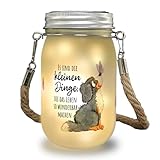 Hund Solarlicht mit Spruch Die kleinen Dinge machen das Leben so wunderbar ein niedliches Licht für Hundebesitzer Motiv Dekolampe Einmachglas Frauen Bernersennen Dekolicht