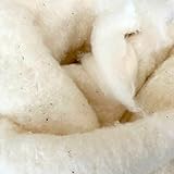 pemmiproducts Hamsternest, Nestmaterial aus Kapok/Baumwolle, 500g (21,00 €/kg) Hamsterwolle, Nistmaterial für Nager und Vögel, Hummelwolle, Vogelnesthilfe, Hamsterwatte, Nachfüllset Insektenhotel