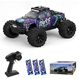 Teeggi Ferngesteuertes Auto1:14 Höchstgeschwindigkeit 100 km/h, 3S Bürstenloser Motor RC Hohe Geschwindigkeit Offroad Drift Rennauto, 4WD Off Road Race Buggy für Erwachsene, 3 Batterien (Lila)