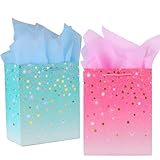 2x Geschenktüten Mittlere Größe mit Seidenpapier, Papiertragetaschen Geschenktüten, Geburtstagstüte Geschenkverpackung zum Geburtstag, Papier Geschenktüten Geburtstag,Geschenktasche für Männer Mädchen
