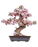 Rolife 3D Puzzle - Holzpuzzle 3D Modellbausatz für Erwachsene Kreativer DIY-Bausatz, Bastelset für Dekoration & Ästhetische Geschenke für Teenager(Sakura Bonsai)