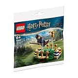 LEGO® Harry Potter 30651 Quidditch Training