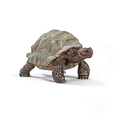 schleich WILD LIFE | Riesenschildkröte 14824 | detailgetreue Tierfiguren | Zoo Spielzeug | tolles Geschenk für Jungen und Mädchen | Deko für Geburtstag | Spielfigur ab 3 Jahren | 8 x 4 x 4 cm