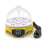 Inkubator Hühner, 7 kleine Eier Brutkasten, Geflügelbrutkasten, intelligente digitale Temperaturregelung, Huhn Ente, Wachteleier, EU Stecker