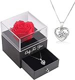 Handgefertigte konservierte Rosen schmuck-Geschenk Box mit Splitter Halskette für sie, Geschenke für Frauen für Valentinstag, Muttertag, Jahrestag, Geburtstagsgeschenk für Mutter, Schwester, Ehefrau