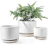 LE TAUCI 3er Pack Keramik Blumentöpfe, 11+13+17 cm Durchmesser Klein Übertöpfe Set, Blumentopf für Zimmerpflanzen mit Untersetzer und Abflussloch, Weiß