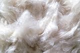 pemmiproducts Füllwatte 100% Kapok Watte, beige, 1 kg, sehr fein, (EUR 14,90/kg), kompostierbar, waschbar, Bastelwatte, natürliches und nachhaltiges Füllmaterial