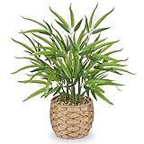 Arborus Künstlicher Bambus Kunstpflanzen 49 cm Künstliche Pflanzen Bambus Deko Kunstpflanze im Weidenkorb Dekopflanze für Boho Deko Tisch Regal in Küche im Wohnzimmer Schlafzimmer