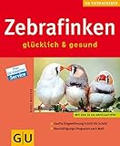 Zebrafinken glücklich & gesund