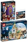 LEGO 3er Set: 76396 Hogwarts Moment: Wahrsageunterricht, 76398 Hogwarts Krankenflügel & 30420 Harry Potter und Hedwig Polybag