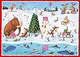 Weihnachten am Pol Adventskalender: Mit 24 Klapptürchen