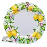 LEHAHA Melamin-Essteller-Set, 27,9 cm, BPA-frei, leicht und bruchfest, ideal für Partys, Wohnmobile, Picknicks und Campinganhänger, spülmaschinenfest, 6 Stück