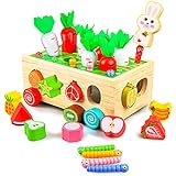 Kizmyee Montessori Spielzeug ab 1 Jahr - 7-in-1 Holzspielzeug mit Karottenernte, Motorikspielzeug, Steckwürfel-Sortierspiel und Stapelspielzeug - Lernspielzeug Geschenk für Mädchen und Jungen