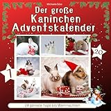 Der große Kaninchen-Adventskalender: 24 geniale Tage bis Weihnachten