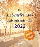 Der Lebensfreude-Adventskalender 2023: Positive Denkanstöße und Inspirationen zum Innehalten und Kraft tanken. Der Adventskalender für Erwachsene passend zum Lebensfreude-Kalender