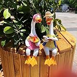 Handsider Ente Gartenstatuen, Paar Tier Cartoon Harz Niedliche sitzende Skulptur Gänseliebhaber Figur Geschenk für Hochzeitsdekorationen, Kunstdekor Gans für Hof Haus Garten Terrasse und Büro (Gans)