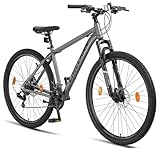 Chillaxx Bike Legend Aluminium 24, 26, 27,5 und 29 Zoll, Mountainbike MTB Fahrrad für Jungen Mädchen Herren und Damen 21 Gang Schaltung Herrenrad Damenrad (29 Zoll, Grau Disc-Bremse)