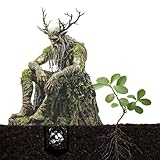 CHSEROK Garten Stecker Draußen Deko, 28 × 18 cm Lustige Gartenfiguren, Acryl Deko für Garten, 2D Dekostecker Waldgeist, für Topfpflanzen oder Geschenke