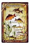 Friedfische Blechschild - Metallschild mit Brasse Karpfen Karausche Graskarpfen Rotfeder Schleie - Retro Deko Schild für Angler-Stube Angel-Verein - Geschenk Freizeit- und Hobbyangler - 20x30cm