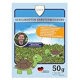 Linsor Schildkröten Kräutermischung, 50g für 17-50m², Wildkräuter-Mix, Kräuterwiese für Landschildkröten, Samen für Schildkrötenfutter