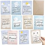 FÜR ZWILLINGE: 30+1 Meilenstein Foto- und Erinnerungs-Karten als Geschenk zur Geburt - mit Baby-Tagebuch, inkl. Geschenkbox und Glückwunsch-Karte - DIN A6